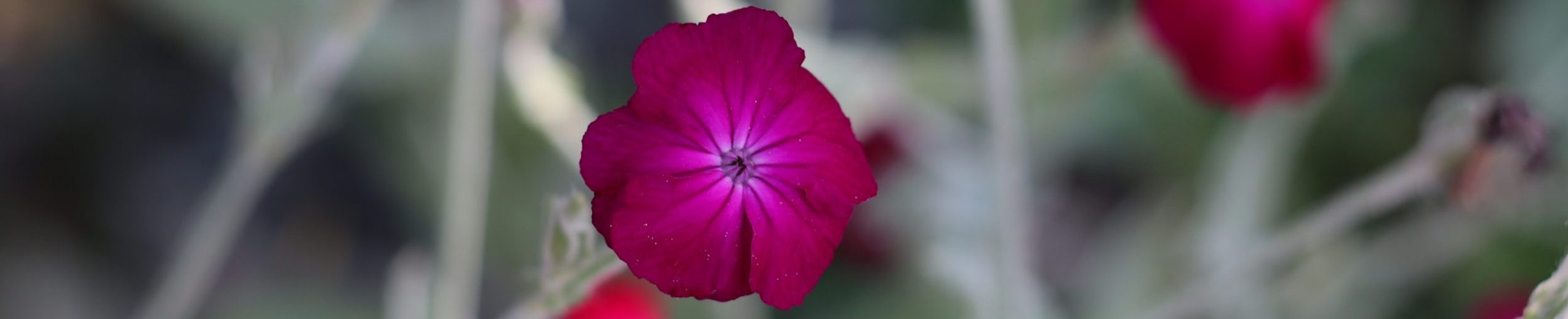 Photographe sociale – Côtes d'Armor