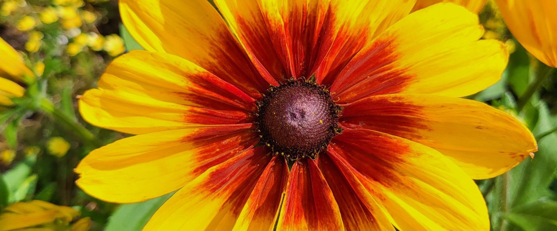 Photographe sociale – Côtes d'Armor