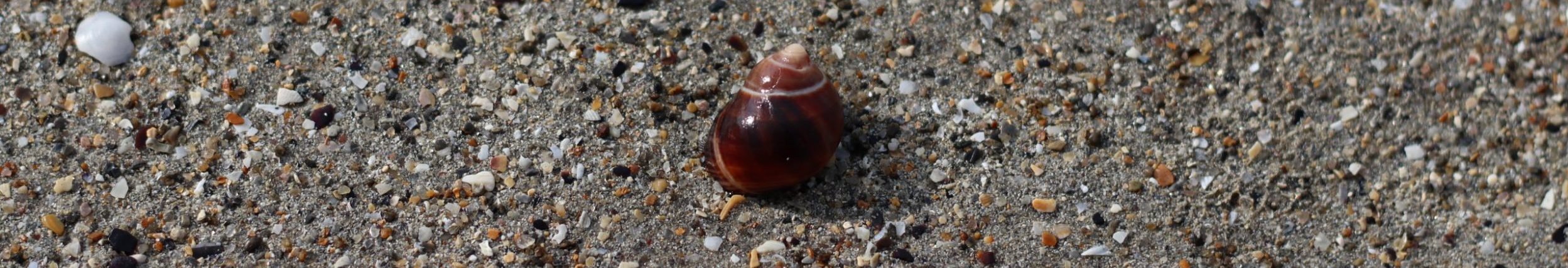 Photographe sociale – Côtes d'Armor